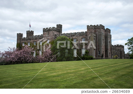 Landscape Park Forest Scotland Great Britain Scone 26634089