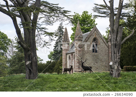 Landscape Park Forest Scotland Great Britain Landscape Park Forest Scotland Great Britain 26634090