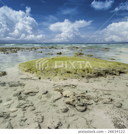 Havelock Island, Andaman Islands, India Havelock Island, Andaman Islands, India 26634122