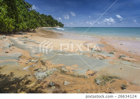 Nail Island, Andaman Islands, India 26634124