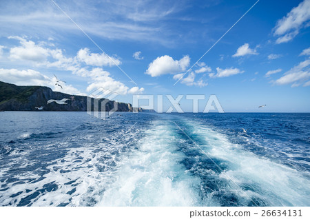 Cruising image cut with Shakotan (+ Seagull) 26634131