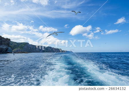 用Shakotan(+ Seagull)切割的巡航圖像 用Shakotan(+ Seagull)切割的巡航圖像 26634132