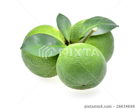sweet orange(Citrus medica Linn) on white sweet orange(Citrus medica Linn) on white 26634698