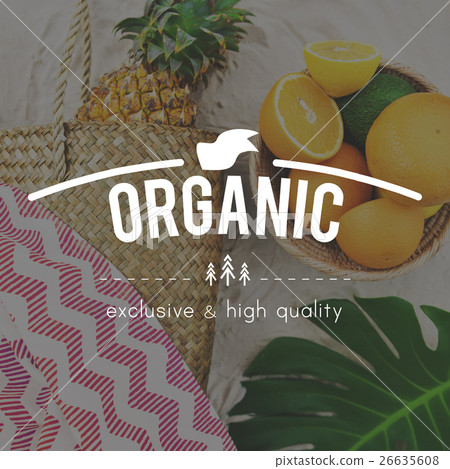 Vacation Relaxation Positive Vibes Concept Vacation Relaxation Positive Vibes Concept 26635608
