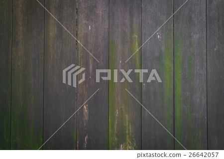 Wood texture background Wood texture background 26642057