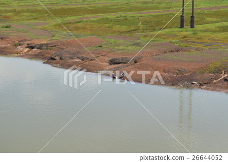 tropical river 26644052