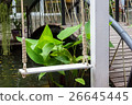 Wooden Swing in Backyard 26645445