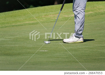 golfer putting, selective focus on golf ball golfer putting, selective focus on golf ball 26647053
