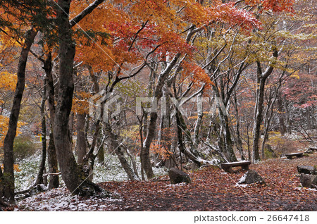 Seseragiti高速公路在秋天5 Seseragiti高速公路在秋天5 26647418