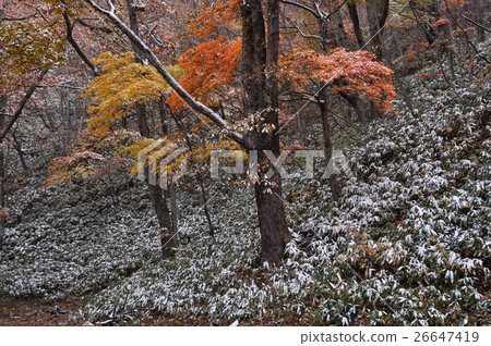 Seseragiti高速公路6在秋天 26647419