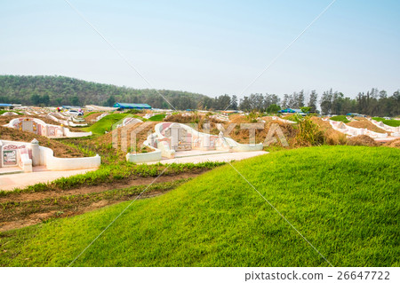 Mound and slope grass graves 26647722