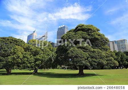 Royal Botanical Gardens Sydney Australia Stock Photo