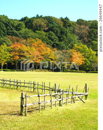 Prairie with a fence and forest landscape Prairie with a fence and forest landscape 26649447