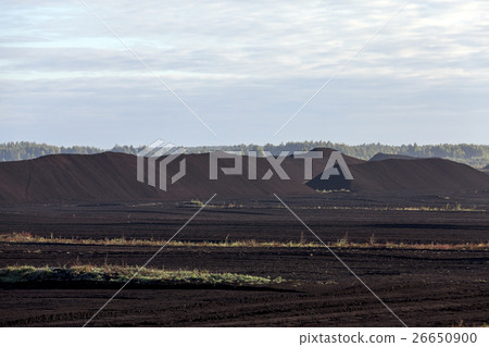 careers with peat 26650900