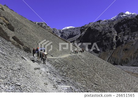 Annapurna circuit trek in Himalayas, Nepal Annapurna circuit trek in Himalayas, Nepal 26651565