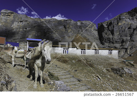 Thorung High Camp Annapurna Circuit, Himalaya Thorung High Camp Annapurna Circuit, Himalaya 26651567