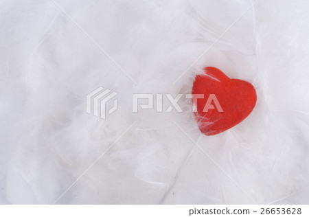 Feathers and heart Feathers and heart 26653628