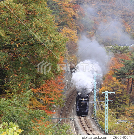 秋葉Joetsu Line SL 26654004