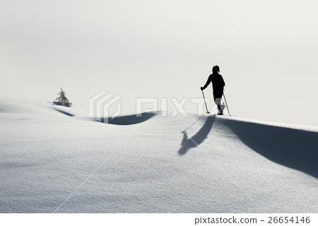 Randonnee ski trails alone 26654146