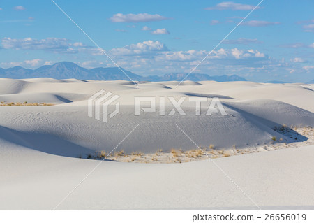 White sands White sands 26656019