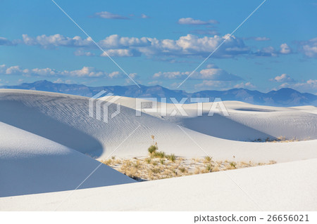 White sands White sands 26656021