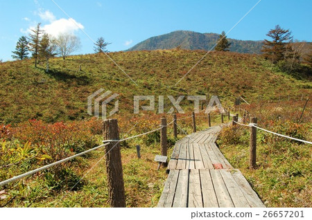 Amari Ameyama Road in early autumn Amari Ameyama Road in early autumn 26657201
