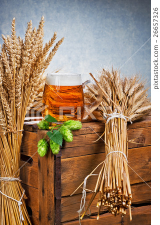glass of beer and raw material for beer production glass of beer and raw material for beer production 26657326