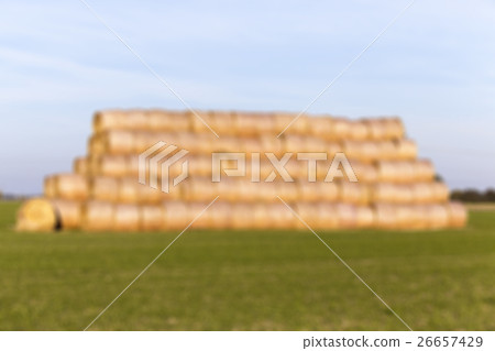 stack of straw in the field 26657429