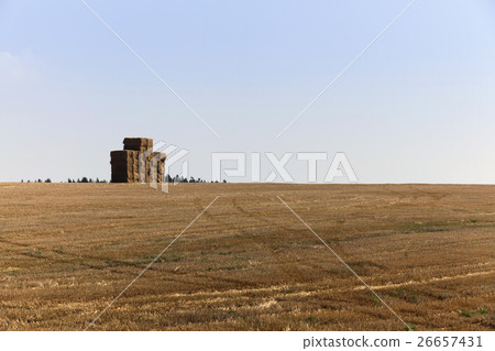 square stack straw 26657431