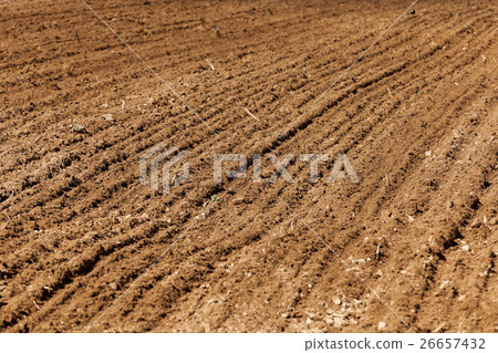 plowed land for cereal 26657432