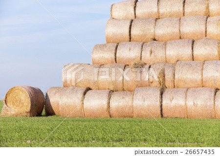 stack of straw in the field stack of straw in the field 26657435