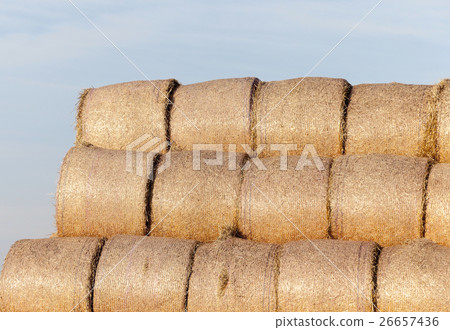 stack of straw in the field stack of straw in the field 26657436