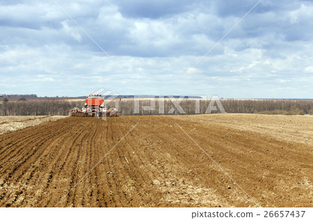 Planting of cereal crops 26657437