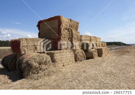 Tractor straw, close-up Tractor straw, close-up 26657755