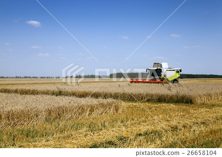 Harvester in the field Harvester in the field 26658104