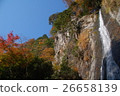 秋天的天狗瀑布（東京檜原村） 26658139