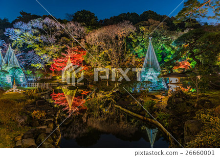 Autumn leaves light up - Aikari Akari Autumn leaves light up - Aikari Akari 26660001