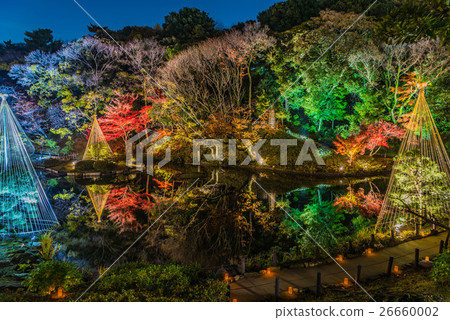 Autumn leaves light up - Aikari Akari Autumn leaves light up - Aikari Akari 26660002