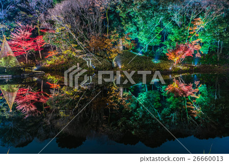 Autumn leaves light up - Aikari Akari 26660013