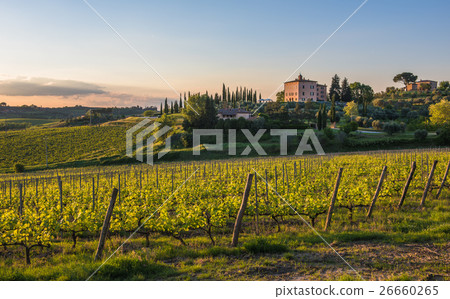 Sunset over the hills of Tuscany, Italy Sunset over the hills of Tuscany, Italy 26660265