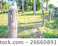 wooden fence and barbed wire 26660891