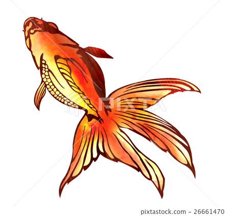魚圖 26661470
