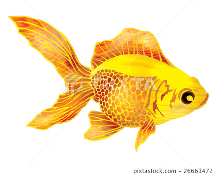 魚圖 26661472