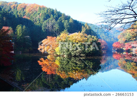Autumn saka North Lake (autumn leaves) 26663153