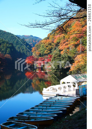 Autumn saka North Lake (autumn leaves) 26663158