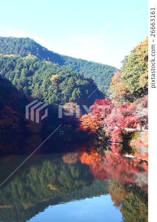 Autumn saka North Lake (autumn leaves) 26663161