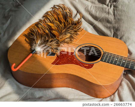 Feather broom on guitar. Feather broom on guitar. 26663774