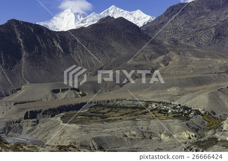 Kagbeni village in the Himalayas Nepal.  26666424