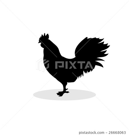 Cock black silhouette pattern bird background 26668063