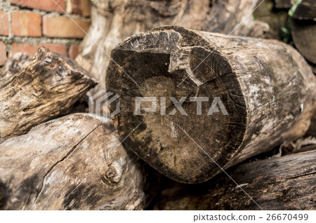 Firewood 26670499